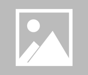 在线体育-王勤伯：我们熟悉的意大利回来了，活着就好