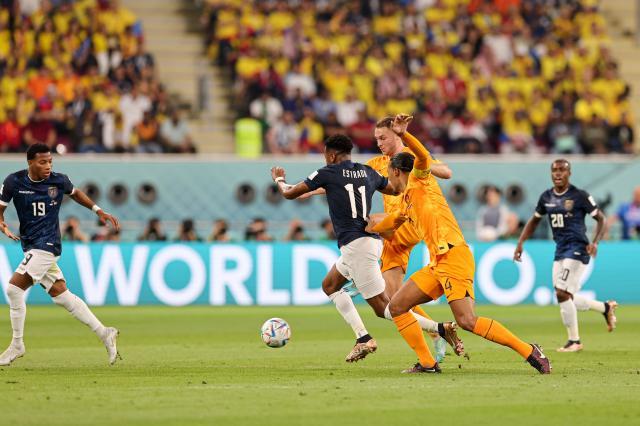 1669425203370079021.jpg mmexport1669424886825.jpg